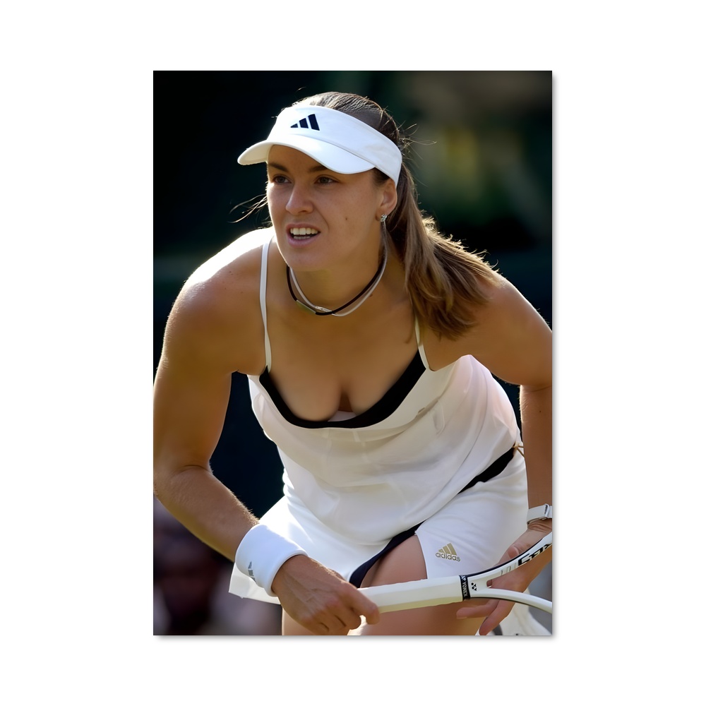 Poster Martina de hingis